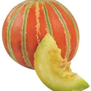 Kharbooja (Muskmelon) 1kg