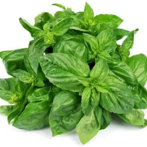 Basil leaves 100g