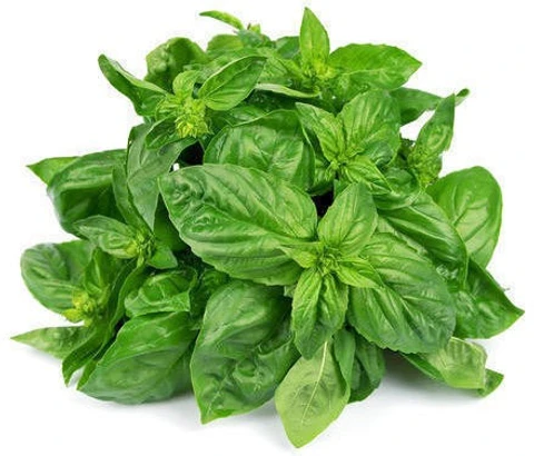 Basil leaves 100g