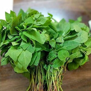 Lamb’s Quarter (Bathua) 500g