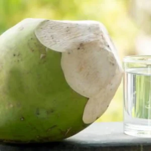 Coconut Water (Narial Panni) 1Pcs