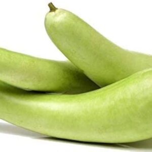 bootle Gourd (Ghiya long) 1KG