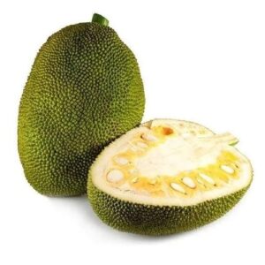 Jackfruit (KatHal) 500g