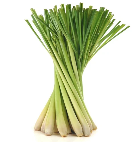 Lemon Grass 100g