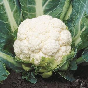 Cauliflower (phoolGobhi) 1kg