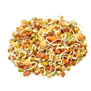 Sprouts Mix 2Pkt