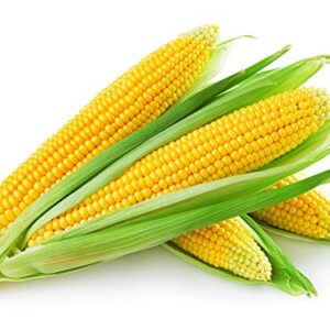 Sweet Corn 1pkt 200g Approx