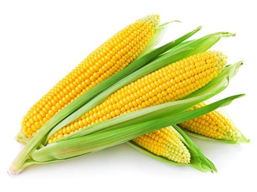 Sweet Corn 1pkt 200g Approx